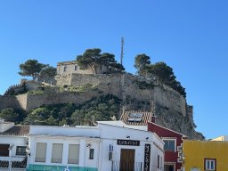 220-11-01-2026 IMG_6531